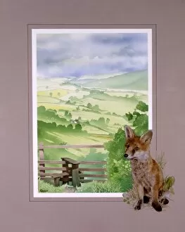 Beautiful Landscapes Gallery: View down an English valley with a young Fox