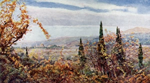 Provincial Gallery: View of Florence, Tuscany, Italy