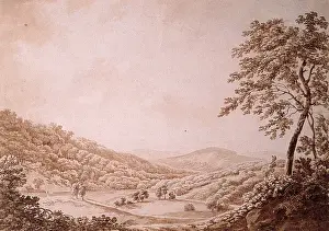 View in Glenarm Deer Park