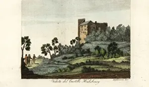 Pennine Prints: View of Habsburg Castle, medieval fortress in Switzerland