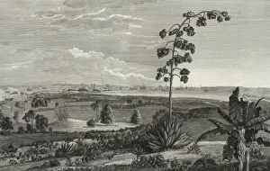 A view of the harbour & city of the Havana, taken from the h