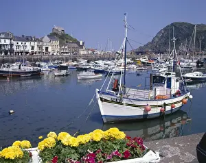 Hillsborough Prints: View of the harbour, Ilfracombe, Devon
