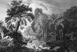 Estate Gallery: A view in the Island of Jamaica, of the spring-head of Roari