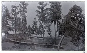 Tibet Prints: View of Kalimpong cemetery, India