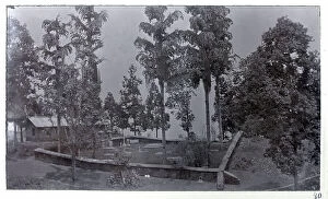 Advance Collection: View of Kalimpong cemetery, India, from a fascinating album which reveals new details on a