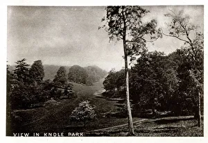 Sevenoaks Prints: View in Knole Park, Kent