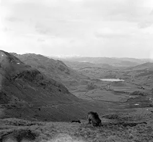 View of the Lake District