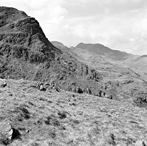 View of the Lake District