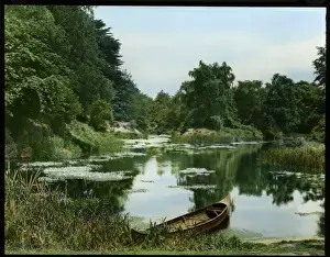 View of a lake in early summer