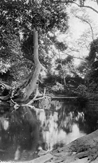 View of the Lumi River, East Africa