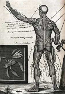 View of male, from back