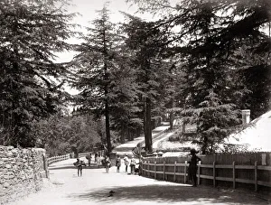Shimla Prints: View of The Mall, Simla, Shimla, India, c. 1860 s