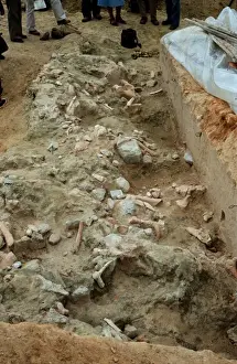 Cenozoic Prints: View of Middle Pleistocene site of Bilzingsleben, Germany