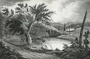 View near Jessups Landing