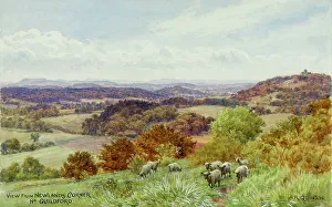 Guildford Prints: View from Newlands Corner near Guildford, Surrey