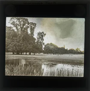 Images Dated 20th May 2019: VIew of the pond Charlcote Park