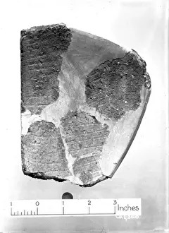 View of pottery fragments against a white background