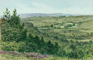 View across the Punchbowl, Hindhead, Surrey