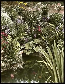 Rockery Prints: View of Reginald Malbys garden and pond