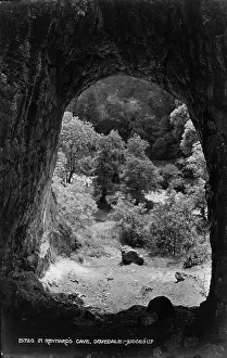 View from Reynard's Cave