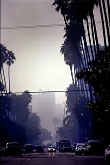 New Images November Prints: View of road and traffic Los Angeles, USA