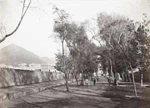 View at Sestri Ponente, Genoa, Italy