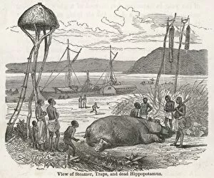 View of stamer, traps and dead hippo / Livingstone expedition