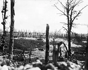 Stump Gallery: View of Thiepval from Thiepval Wood, Western Front, WW1