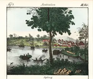 Newsouthwales Prints: View of the town of Sydney, New South Wales, Australia