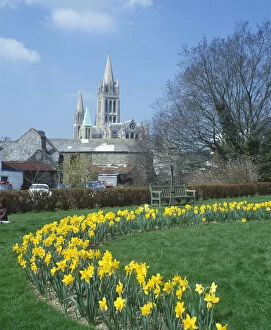 Daffodils Gallery: View of Truro Cathedral, Truro, Cornwall