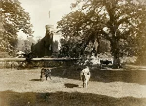 Stewart Collection: View of Tulloch Castle, Scotland