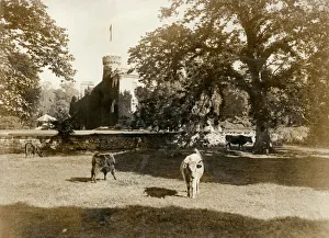 12th Collection: View of Tulloch Castle, Scotland