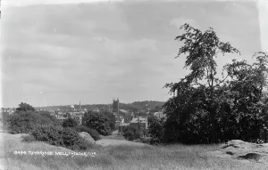 Tunbridge Prints: View of Tunbridge Wells
