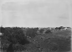 United States Prints: View from upper bridge, Nuuanu Valley looking seaward. Oahu