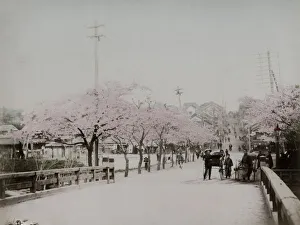 View of Ushigome Mitsuke (Chiyoda), Tokyo, Japan