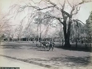 View of Uyeno, Tokio