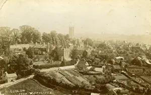 View from Whitcliffe