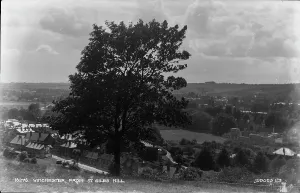 View of Winchester from St. Giles Hill