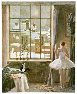 View from Window