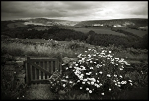 Images Dated 2010 August: 5 Aug 2010
