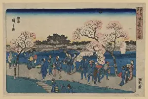 Sumida Prints: Viewing cherry blossoms along the Sumida River