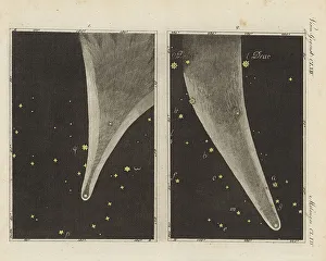 Views of the Great Comet of the Year 1811. C/1811 F1