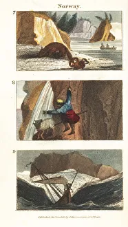 Images Dated 2020 April: 3 Apr 2020 Collection
