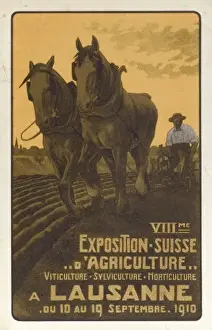 Furrows Prints: VIIIme Exposition Suisse D Agriculture (1 / 3)