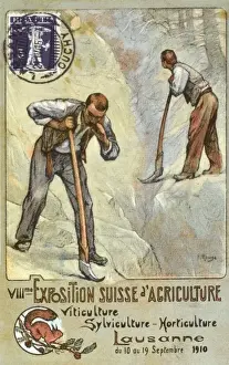 Shouting Prints: VIIIme Exposition Suisse D Agriculture (3 / 3)