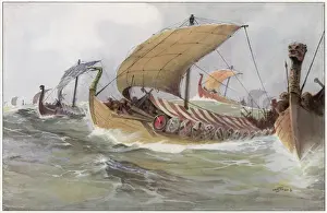 Viking Ships