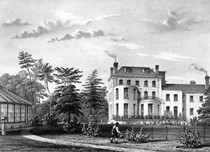 Beckenham Prints: Villa at Beckenham
