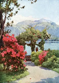Pathway Prints: Villa Carlotta, Lake Como, Italy