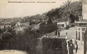 Images Dated 23rd May 2017: Villa Des Orangers, Mustapha, Algiers, Algeria