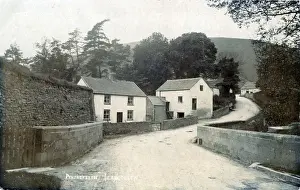 The Village